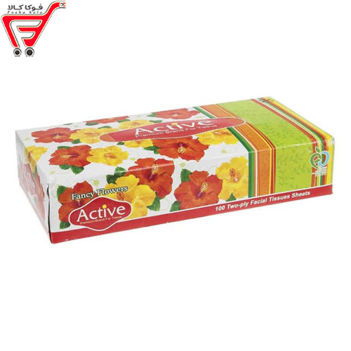 دستمال کاغذی 100برگ دولایه اکتیو 