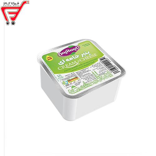 پنیر خامه ای ایساتیس 100گرم 