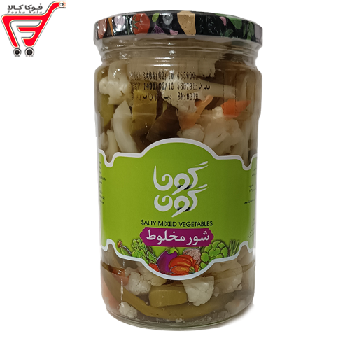 شور مخلوط گوناگون 700 گرم 