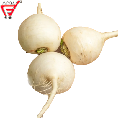 شلغم یزدی ( کیلویی )