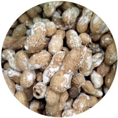 بادام زمینی غلاف دار ( 500 گرمی ) 