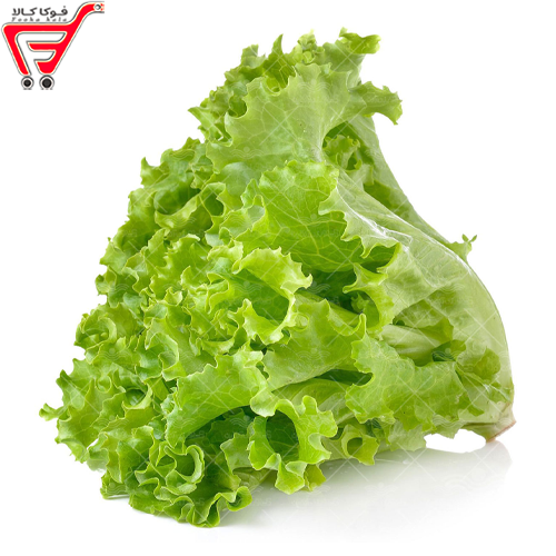 کاهو فر ( کیلویی ) 