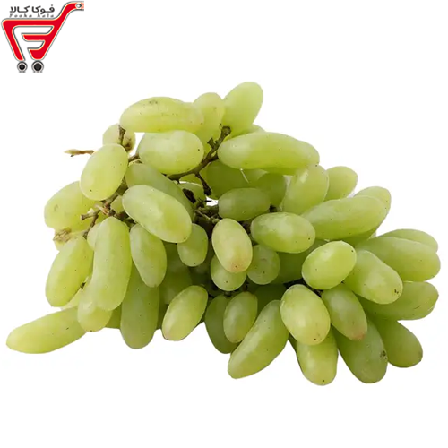 انگور ریش بابا   ممتاز (کیلویی)
