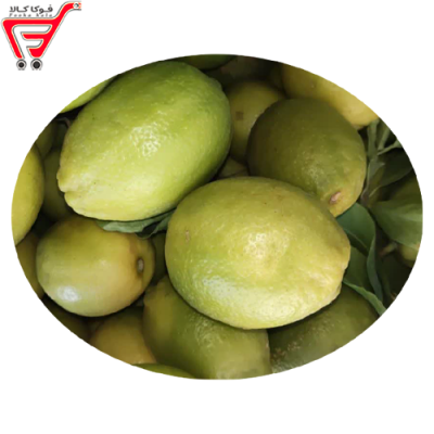 لیمو  ترش ممتاز ( کیلویی )