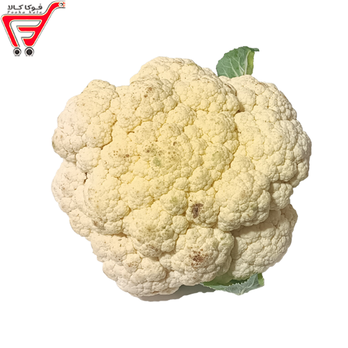 گل کلم ممتاز ( کیلویی )