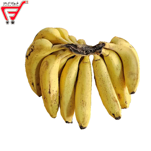 موز  پاکستانی ( کیلویی )