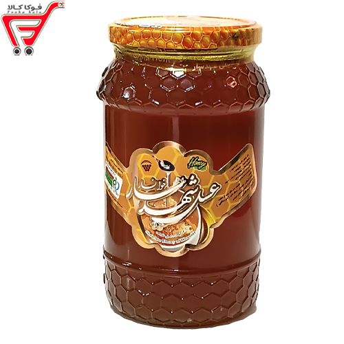 عسل کنار شهد خوانسار 1500 گرم 