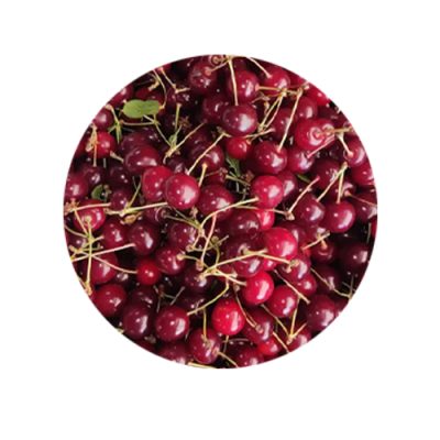 آلبالو گیلاسی (  کیلویی)