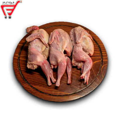 بلدرچین پرطلا (کیلویی)
