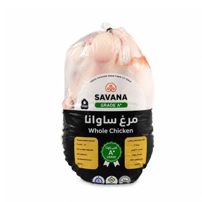 مرغ ساواناA+ مناسب اکبر جوجه پرطلا ( کیلویی)