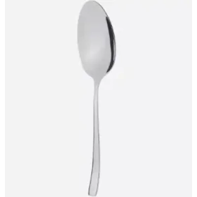 کفگیر بزرگ استیل جین DF-043 ام جی اس F S