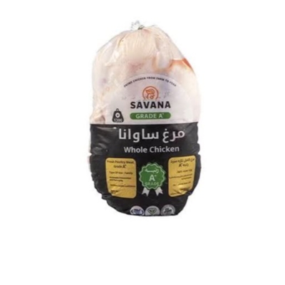 مرغ ساواناA